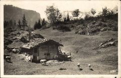 CPSM Cants in the mountain