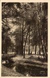 Paris CPA Un coin du Bois de Boulogne 