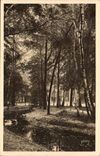 Paris CPA un coin du bois de Boulogne