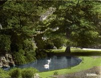 Rouen CPA swans of the garden solferino