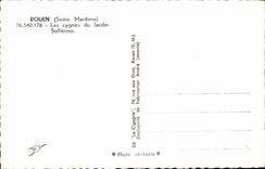 Rouen CPA swans of the garden solferino