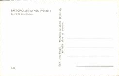 Bretignolles on Sea - the Drill of the Dunes - CPA