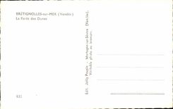 Bretignolles on Sea - the Drill of the Dunes - CPA