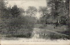 Lille - a Corner of the Wood of Doule - CPA
