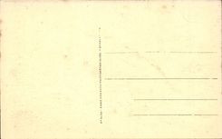 Africa - Africa - Algeria - Algeria - Algiers - Allee principal with the Garden of Test - CPA