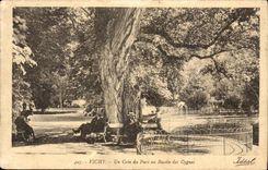 Vichy - Un Coin du Parc au bassin des Cygnes - CPA 