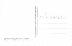 bassin d'Arachon - Echaprr sur le Bassin a travers les Pins - CPA
