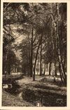 Paris CPA Un coin du bois de Boulogne
