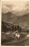 CPA Weide auf der Strasse des Kragens von Aubisque