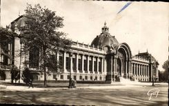 Paris 8 - The Petit Palais - Champs Elysees - CPA