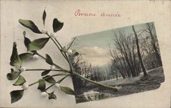 CPA Fantasy Happy New Year Flowers