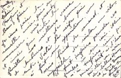 CPA Fantasy Flowers Happy New Year