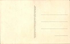 CPA Bonaparte History with the Bridge of Arcole November 17th 1796 by the baron Gros