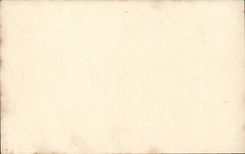 Fantasy CPA Woman out of dress