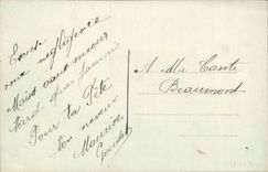 Fantasy CPA Man and flowers