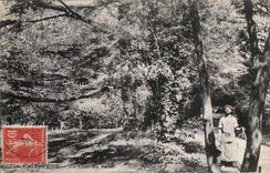 Courbevoie CPA a corner of the park (garden)