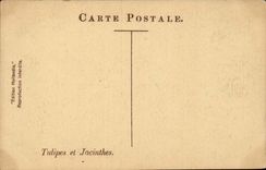 CPA die niederlandischen Tulpen und die Hyazinthen Folklore-Kostume