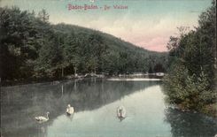 Germany Baden Baden CPA Der Waldsee (swans)