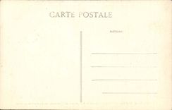 CPA Drill of Fontainebleau Point of view of stag hind roe-deer