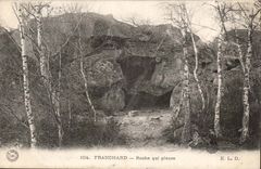 Franchard CPA Roche which cries