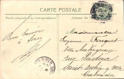 Belfort CPA the lion