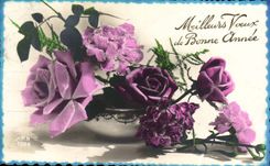 CPA Fantasy Better Voexu of the good year Flowers