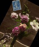 CPA Fantasy Woman and flowers