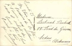 CPA Fantasy Woman and flowers