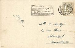 Merry CPA Fantasy Easter Easter Chicks