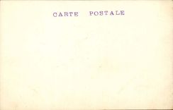 CPA Fantasy Cats cats