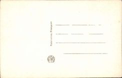 CPA Fantasy child and doves