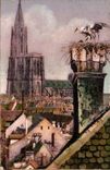 Strassburg CPA Cathedral and storks