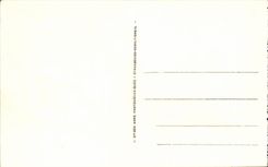 Vichy - Le Pont sur l'Allier - Bridge CPA 