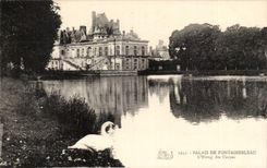 Fontainebleau CPA Pond of carps
