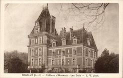 Riaille CPA Chaetau d' Ancenis wood