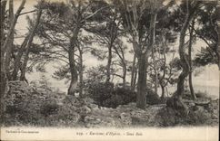 Umlagerungen von Hyeres CPA unter Holz