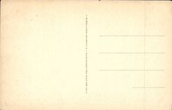 Layered branches CPA Panorama taken of Saint Quiriace