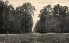 Drill of Chantilly CPA the table bramble