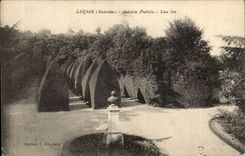 Lucon CPA Public garden lilies