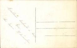 Fantasy - Festival - houx - holly - bird - Happy New Year - CPA