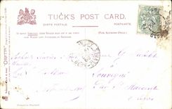 Happy New Year - houx - holly - sheep - fold - tucks post card - CPA