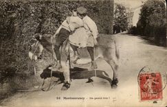 Montmorency CPA a nice trio (ass donkey)