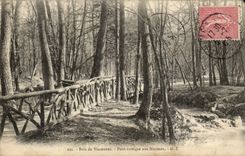 Vincennes CPA rustic Wood Bridge with the tiny ones