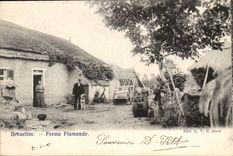 Belgie Belgium Brussels CPA Firm Flemish