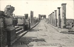 Algeria Roman ruins of Timgad CPA Sees of Decumanus Maximus