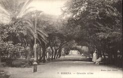 Algeria Biskra CPA Large alley