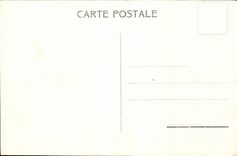 Algeria Biskra CPA Allee of the Landon garden