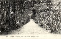 Garten Algerien-Algiers CPA des Tests die Gasse vom bmabous