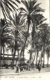 Algerien Algiers CPA der Garten der Tests die Oase