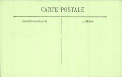 Algerien Algiers CPA Jardin der Tests die Gasse der Yuccas